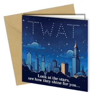 Look At the Stars T*** Birthday Card | Funny Rude greeting card